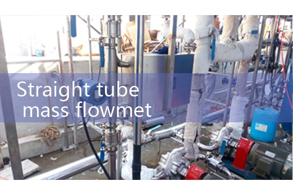 Straight tube mass flowmeter